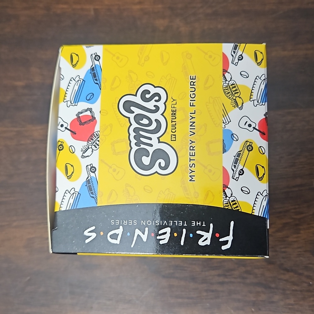 Friends Mystery Vinyl Figure